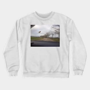 Mysterious Flying Cow - Flying Cow meme Crewneck Sweatshirt